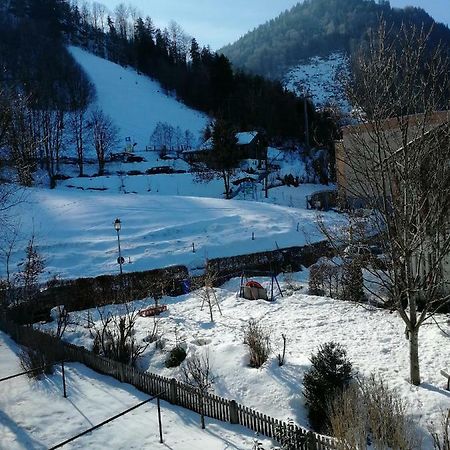 Ferienwohnung Elsa Immenstadt im Allgäu Extérieur photo