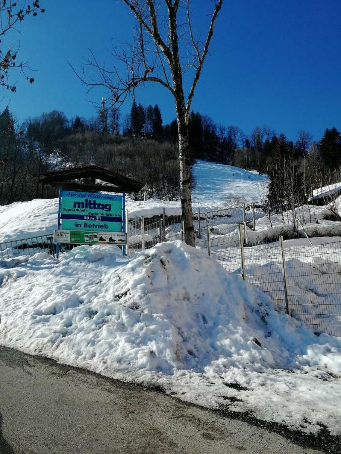 Ferienwohnung Elsa Immenstadt im Allgäu Extérieur photo